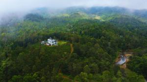 Villa Tesori Homestay Wayanad