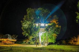 Yala Dream Park