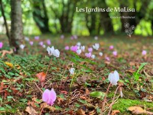 Maisons d'hotes Les Jardins de MaLisa : photos des chambres