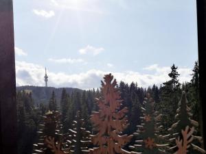 A43a Green Life Pamporovo