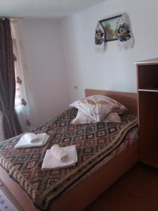 Double Room room in pensiunea Montana Sapinta