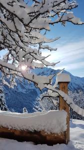 Appartements Chalet la Forestiere : photos des chambres