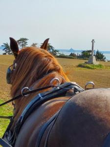 Chez Jollyjune Ferme Equestre des Courlis, à  moins d une heure du Mont Saint-Michel 47 kms