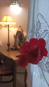 Sifnos View - 3hvězdičkové hotely ve městě Apollonia