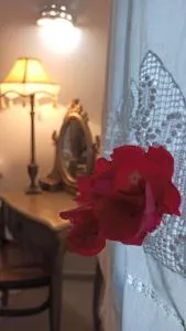 Sifnos View - 阿提蒙