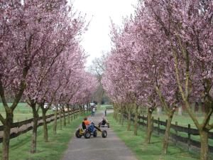 Landferienhof Garbert