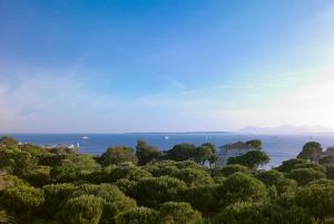 Hotels Hotel Juana : photos des chambres