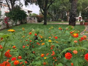 Villa Acquamarina Stella di Mare img2