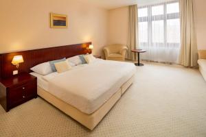 Double or Twin Room room in Hotel Kultúra