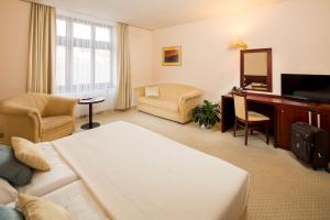 Standard Apartment room in Hotel Kultúra