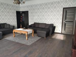 Chelsea Roosi 11 Apartment