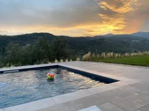 Laserrafelice - Torrazza