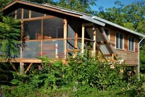 Fully equipped 2 bedroom tree top cottage, with large balcony in private garden - Bullet Tree Falls