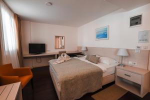 Double Room - Disability Access room in Hotel Borovnik