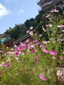 Hotel Victoriya Palace,Mcleod Ganj - Kareri