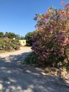 Campings Domaine de Miremer : photos des chambres