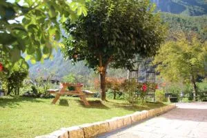 ROSE GARDEN - Grigno