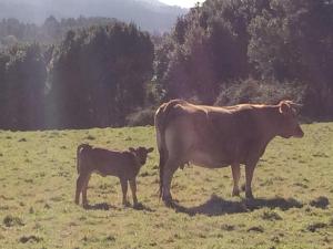 Casa Luis “el Ferre”