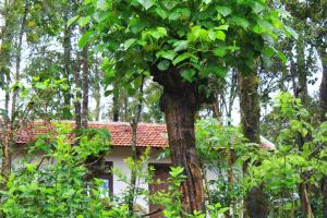 Vastare Homestay and Resort Chikmagalur
