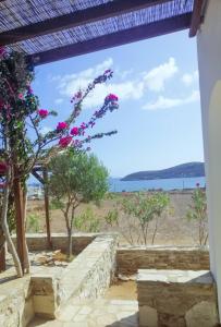 Antiparos Luxury Apartments Antiparos Greece