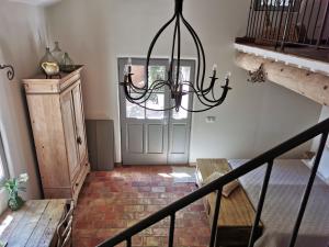 Les anes de petit jean