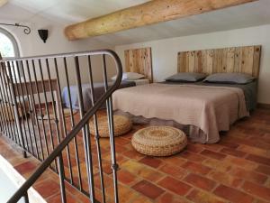 Les anes de petit jean