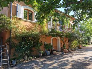 Les anes de petit jean