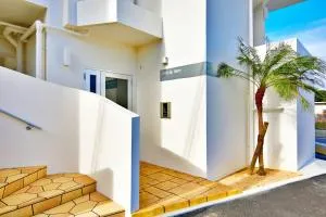 Vent du Vent302 - Minatogawa