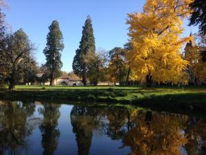 B&B / Chambres d'hotes Chateau de Bresse sur Grosne : photos des chambres