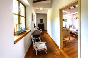 Villa Bazjaki - Beautiful stone villa in Istria with private pool 