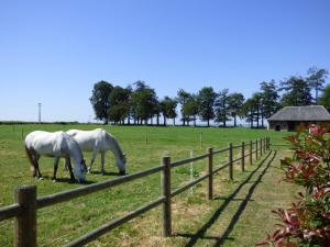 Le Clos d Anthime Gîte****
