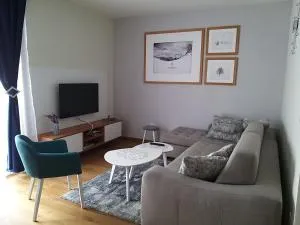 Apartman 307 u Vili Borova - 兹拉蒂博尔