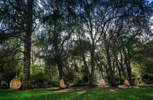 Montpellier de Tulbagh