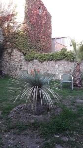 Chambre Noire photo 12
