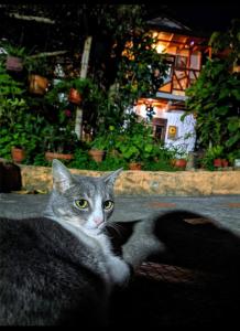 Hospedaje El Jardín