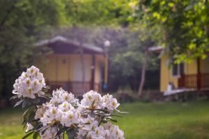 Ideal bungalow for 2 or 3 guests surrounded by a lovely garden
