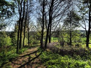 Holiday Home Les Plachettes
