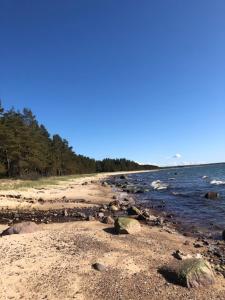 Meelste puhkemajad Tahkunas- Sõnn ja Lõvi