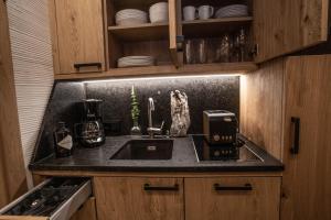 Apartment Alpinflair 1