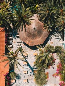 Flamingo Hotel & Spa - Pet Friendly