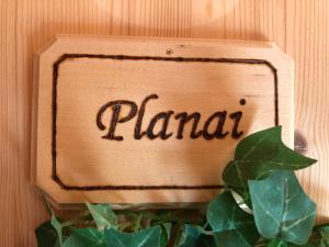 Ski In- Ski Out - Haus Stocker - direkt an der Skipiste by Schladmingurlaub