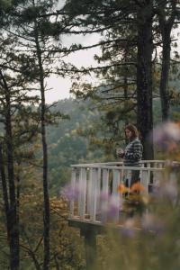 Cabañas Rancho Viejo