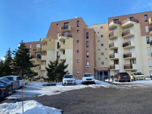 Appartements Studio Les Marmottes Bleues PRALOUP 1500 : photos des chambres