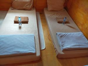 Gosyen Efata Toraja Hotel