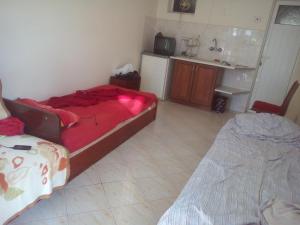 вилна зона Златни пясъци, спирка Ален мак