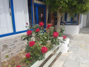 ISALOS ROOMS ON THE BEACH Seriphos Greece