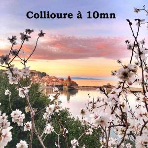 Maisons de vacances Maison Small Luxury ( planxa,suite,solarium,jacuzzi,pas de vis a vis) : photos des chambres