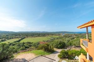 Conchiglia Verde img4