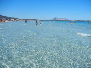 Trilocale a 200 mt dal centro img23