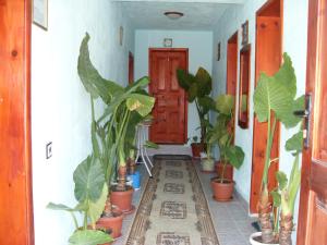 Guest House Rimski Most